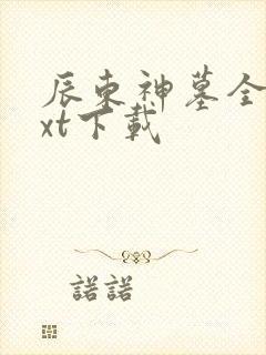 辰东神墓全文txt下载封面