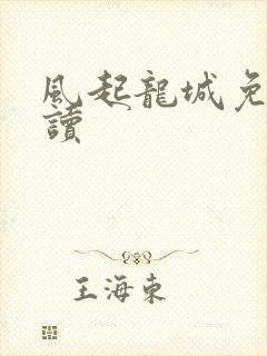 风起龙城免费阅读