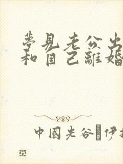 梦见老公出轨要和自己离婚很真实