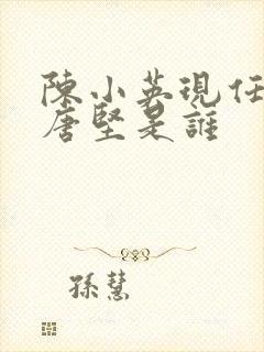 陈小英现任丈夫唐坚是谁