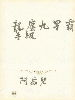 龙尘九星霸体诀等级封面