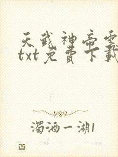 天武神帝云飞扬txt免费下载
