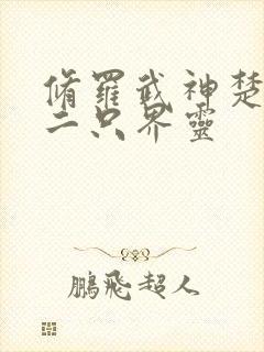 修罗武神楚枫第二只界灵