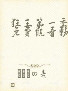 狂王第一季全集免费观看动漫版