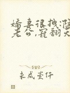 娇妻很拽:隐婚老公,宠翻天