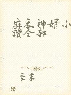 麻衣神婿小说阅读全部