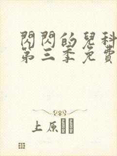 闪闪的儿科医生第三季免费观看完整封面