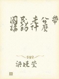 国民老公带回家讲的什么