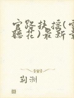 官路扶摇(雪路听花)最新章节免费阅读封面