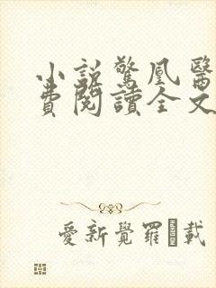 小说惊凰医妃免费阅读全文