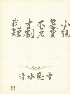 我才不是小可怜短剧免费观看全集