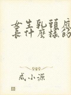 女生乳头应该是长什么样的