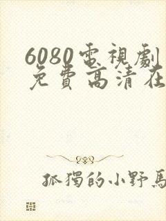 6080电视剧免费高清在线