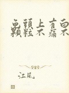 龟头上有白色小颗粒不痛不痒