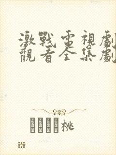 激战电视剧免费观看全集剧情28集