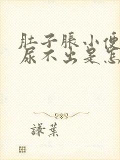 肚子胀小便也胀尿不出是怎么回事封面