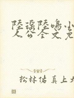 陆瑶陆鸣小说主人公全文免费阅读笔趣阁