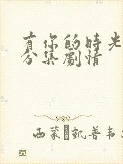 有你的时光里 分集剧情