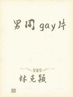 男同 gay片封面