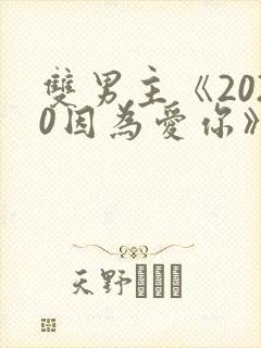 双男主《2020因为爱你》免费观看