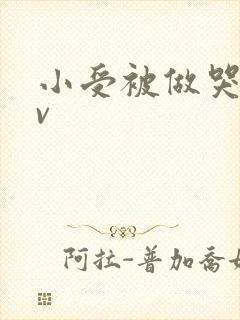 小受被做哭的gv