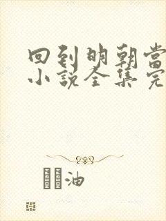 回到明朝当王爷小说全集完整版txt