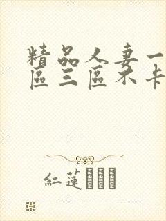 精品人妻一区二区三区不卡在线视频