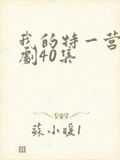 我的特一营电视剧40集封面