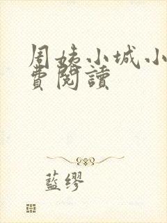 周姨小城小说免费阅读