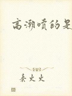 高潮喷的是尿吗