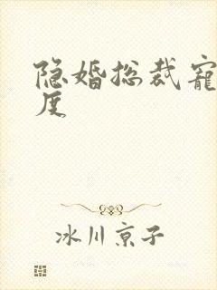 隐婚总裁宠妻无度封面