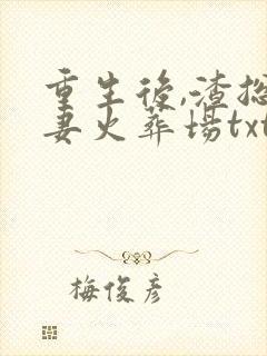 重生后,渣总追妻火葬场txt下载