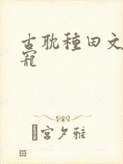 古耽种田文,甜宠封面