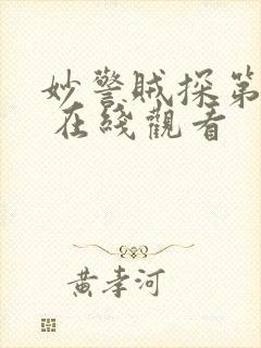 妙警贼探第四季 在线观看