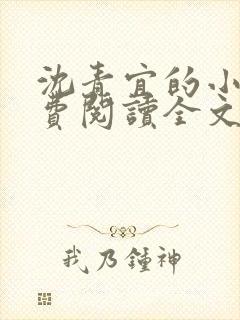 沈青宜的小说免费阅读全文