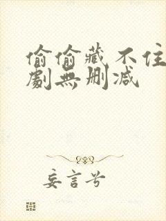 偷偷藏不住广播剧无删减