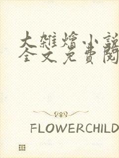 大杂烩小说在线全文免费阅读笔趣阁封面