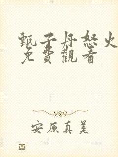 甄子丹怒火重案免费观看封面