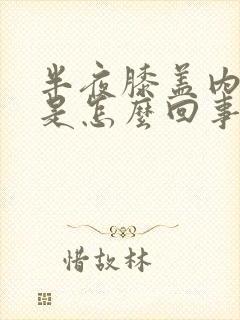 半夜膝盖内侧疼是怎么回事