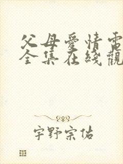 父母爱情电视剧全集在线观看45