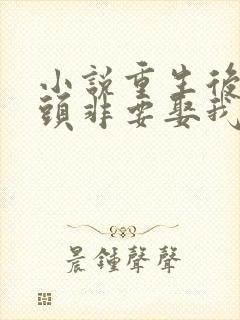 小说重生后死对头非要娶我全文阅读封面