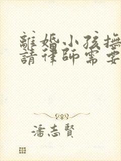 离婚小孩抚养权请律师需要多少钱