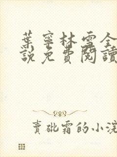 叶宁林雪全文小说免费阅读