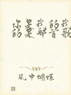 你是我的我是你的是哪首歌的歌词