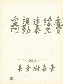 电视连续剧我的阿勒泰免费观看封面