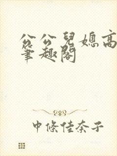 公公儿媳高干文笔趣阁封面