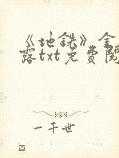 《地铁》金银花露txt免费阅读在线