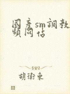 国产sm调教视频网站