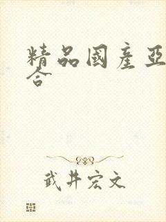 精品国产亚洲综合