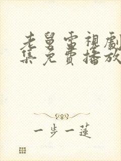 老舅电视剧40集免费播放